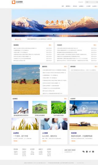 企业管理网站模板
